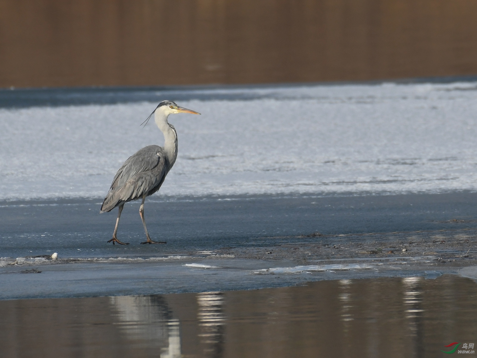 ������Ӱ 888����.jpg