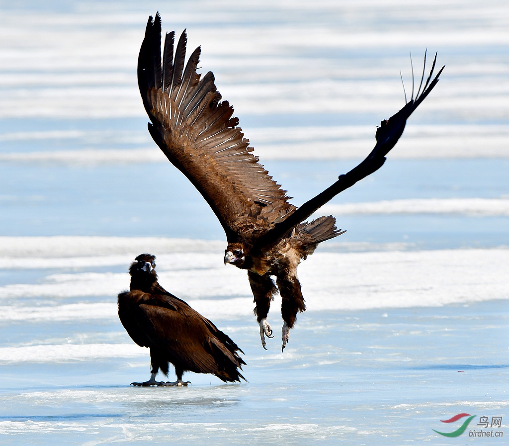 ͺ��  1DSC_2648.jpg