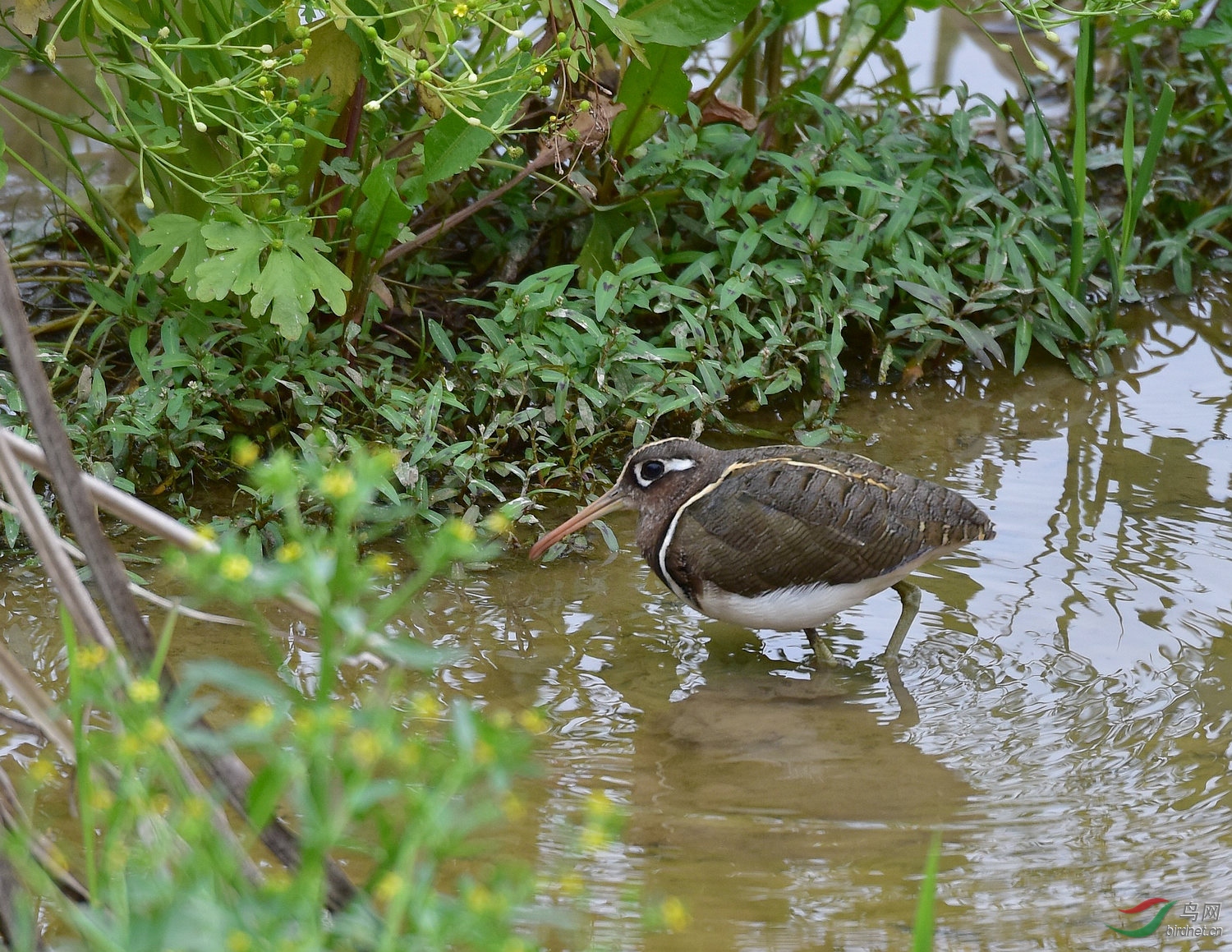 D8I_9018.jpg
