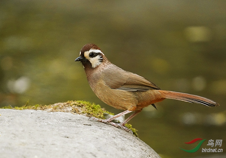 DSC08209---.jpg
