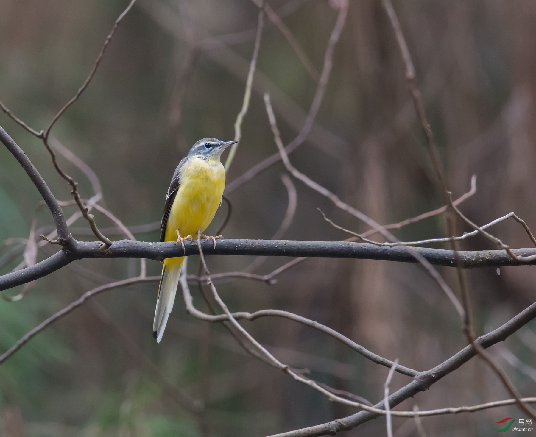 DSC_3861-1.jpg