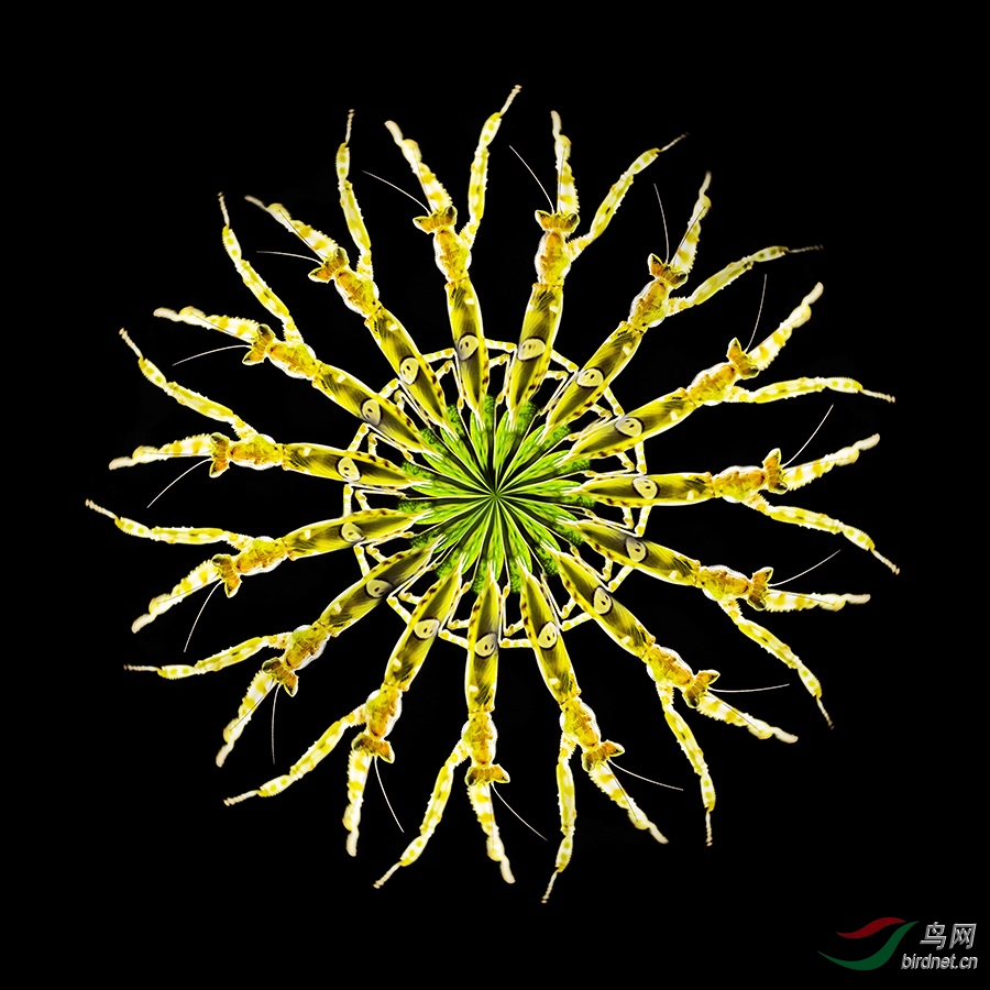 5.ǧ�ֹ��� - ����.jpg