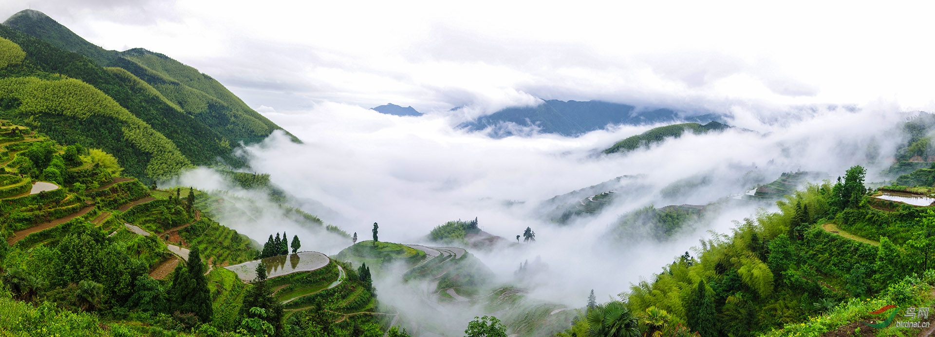 云和梯田