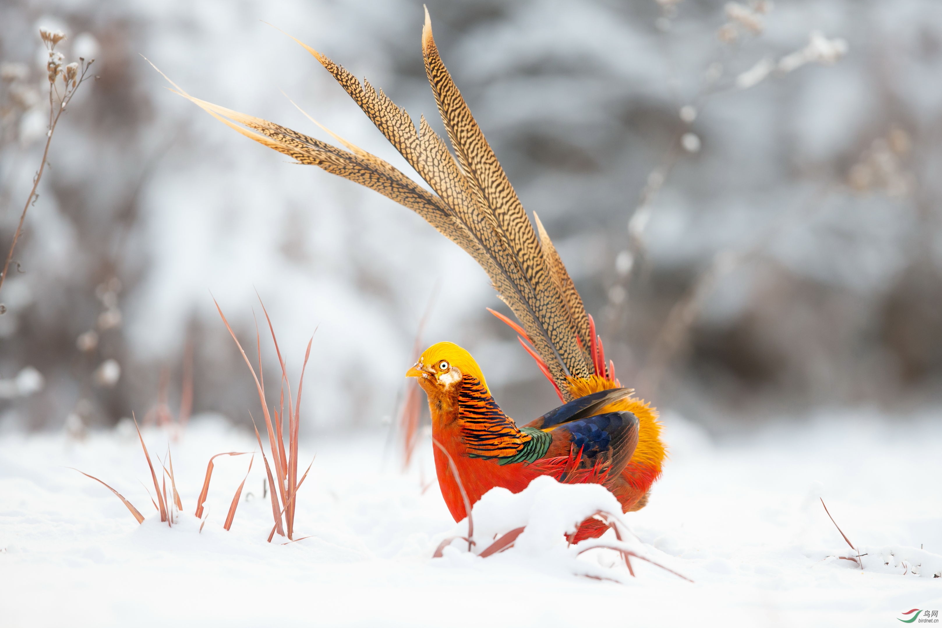 �츹���� (3).JPG