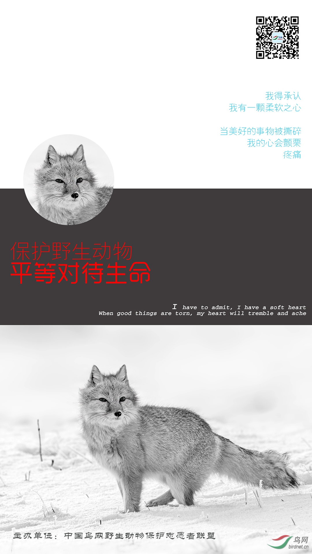 ѩ��ɳ�����Ű�.jpg