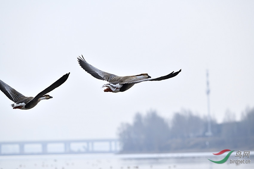 _DSC3102_00001_����.jpg