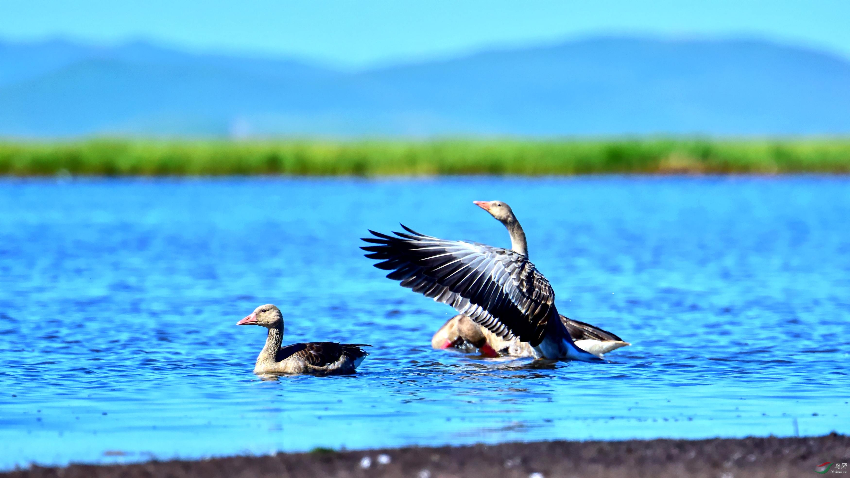 DSC_2958_conew6.jpg