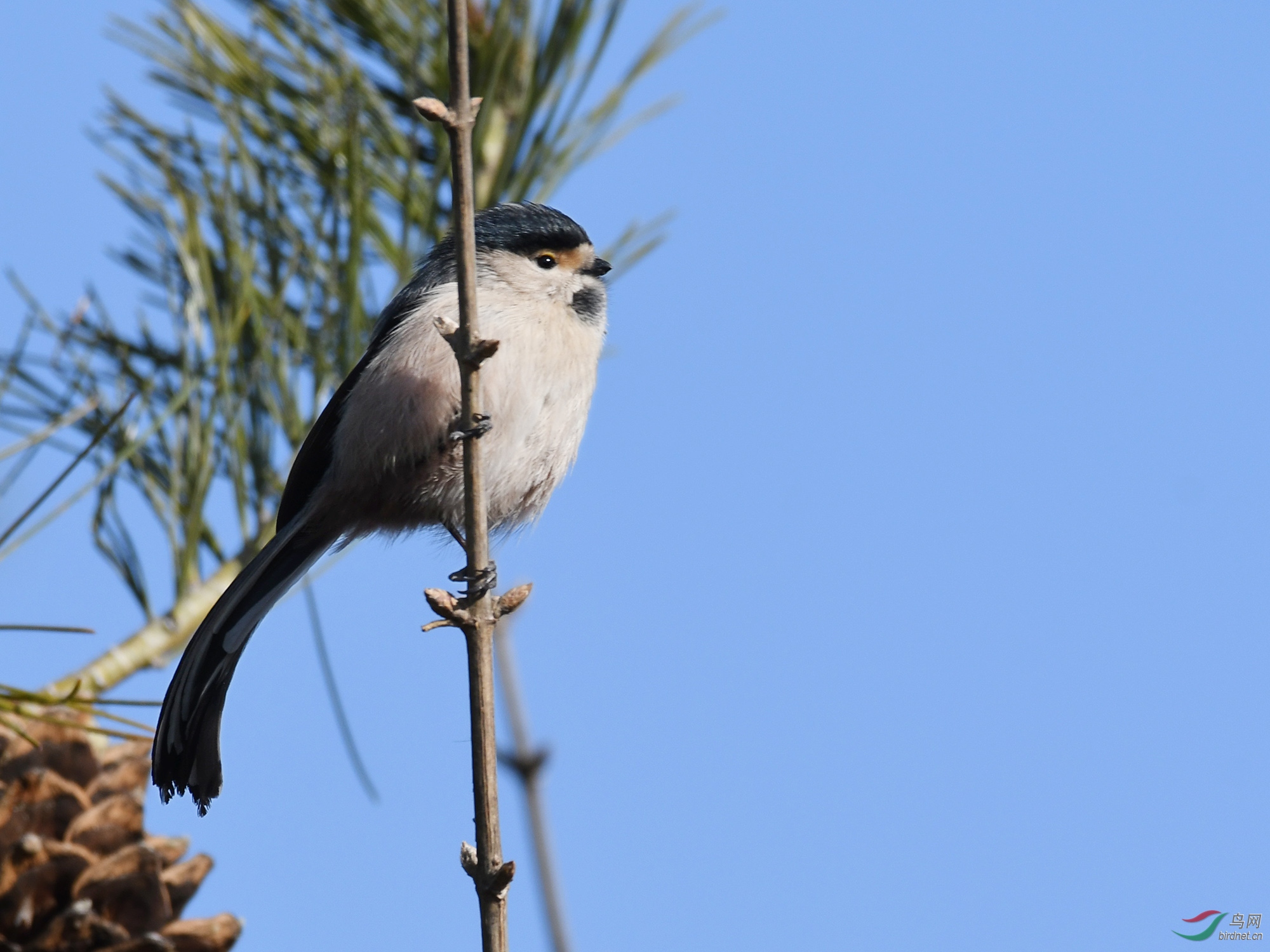 ������Ӱ 241����.jpg