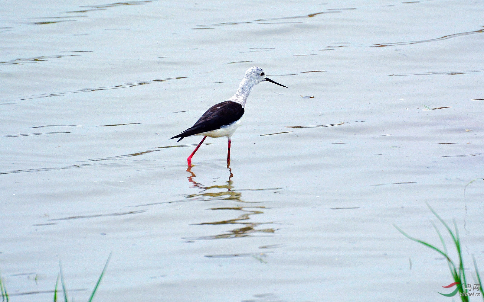 DSC_2078.JPG