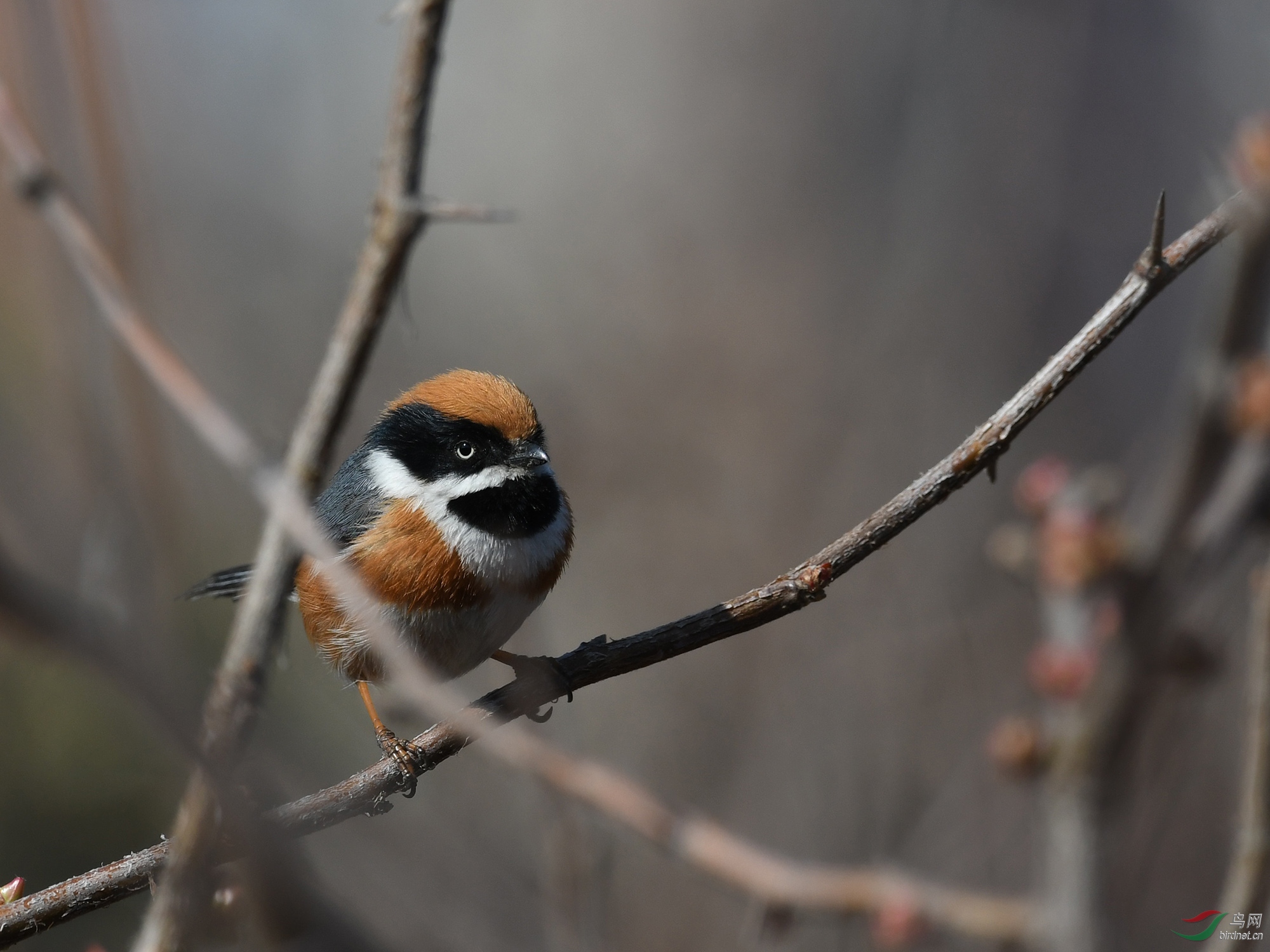 ������Ӱ 1198����.jpg