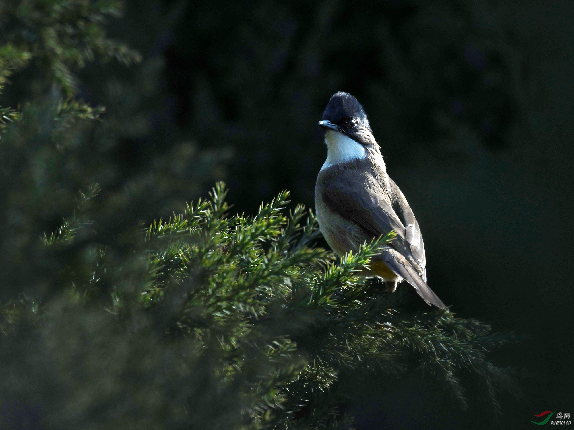 ������Ӱ 861����.jpg