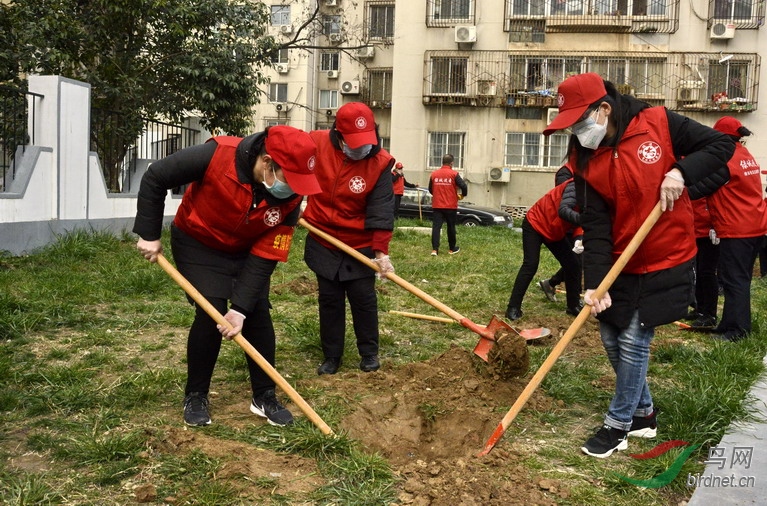 5 - ����.jpg