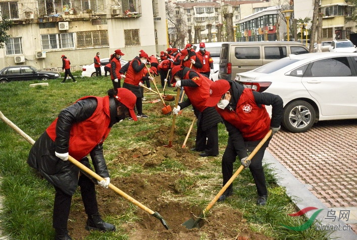 7 - ����.jpg