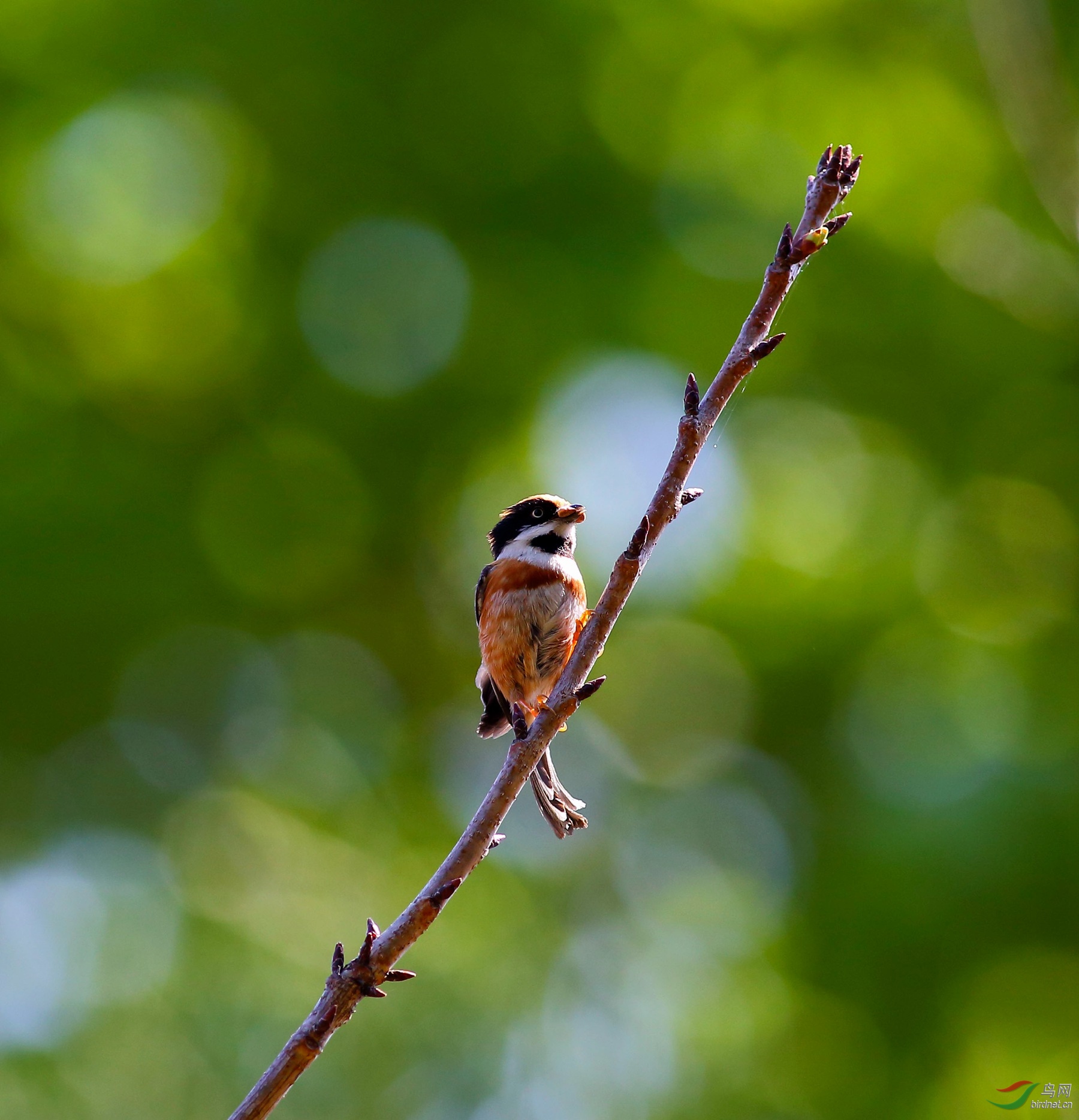 2017-04-01 13-49-08 (2).JPG