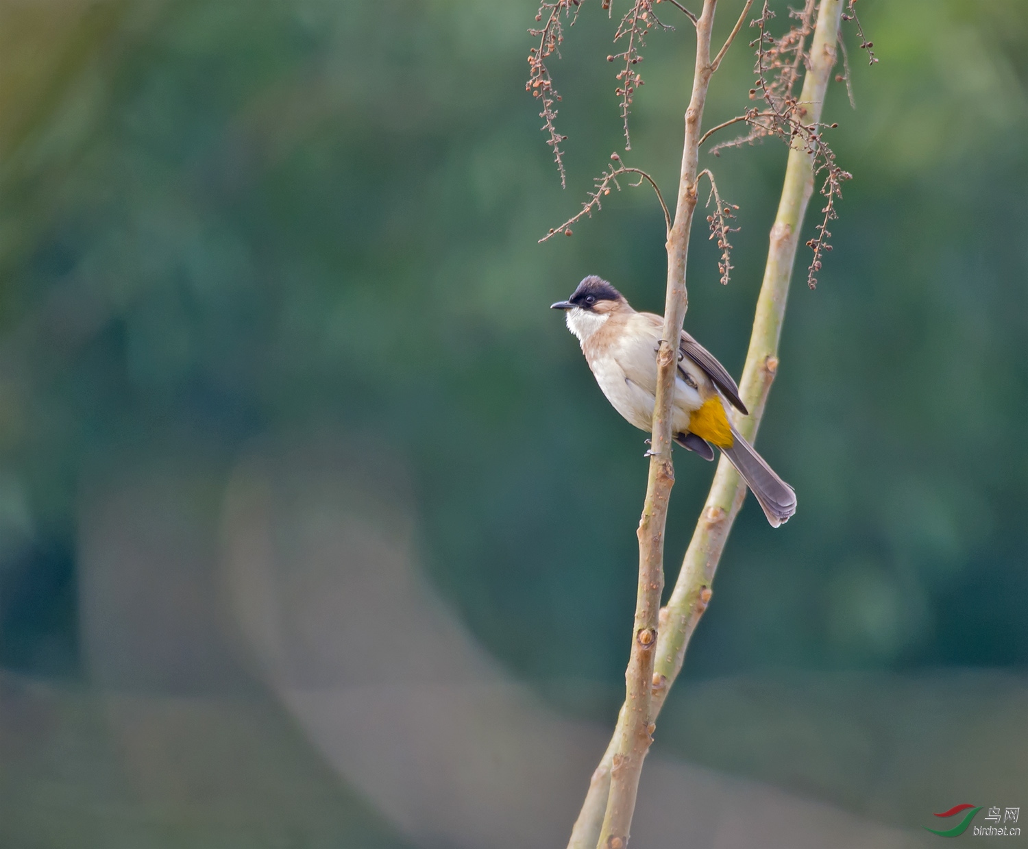 DSC_4118.jpg