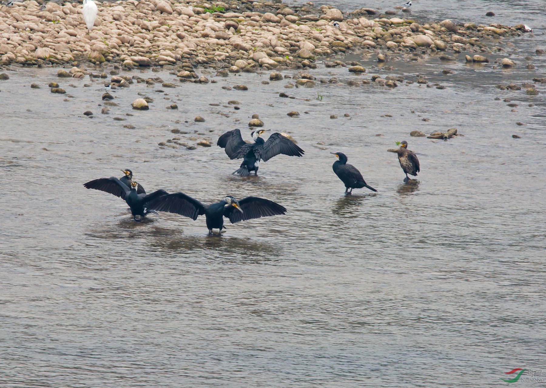 DSC_3879.jpg