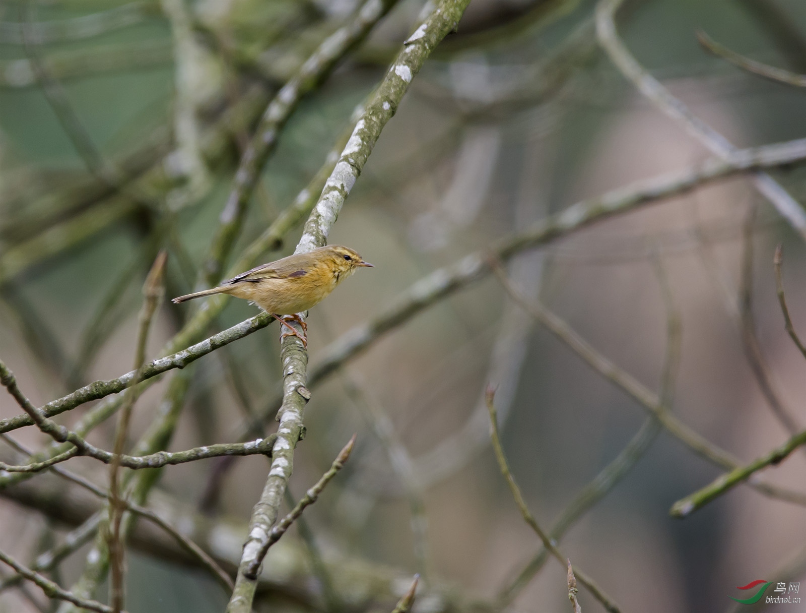 DSC_3953.jpg