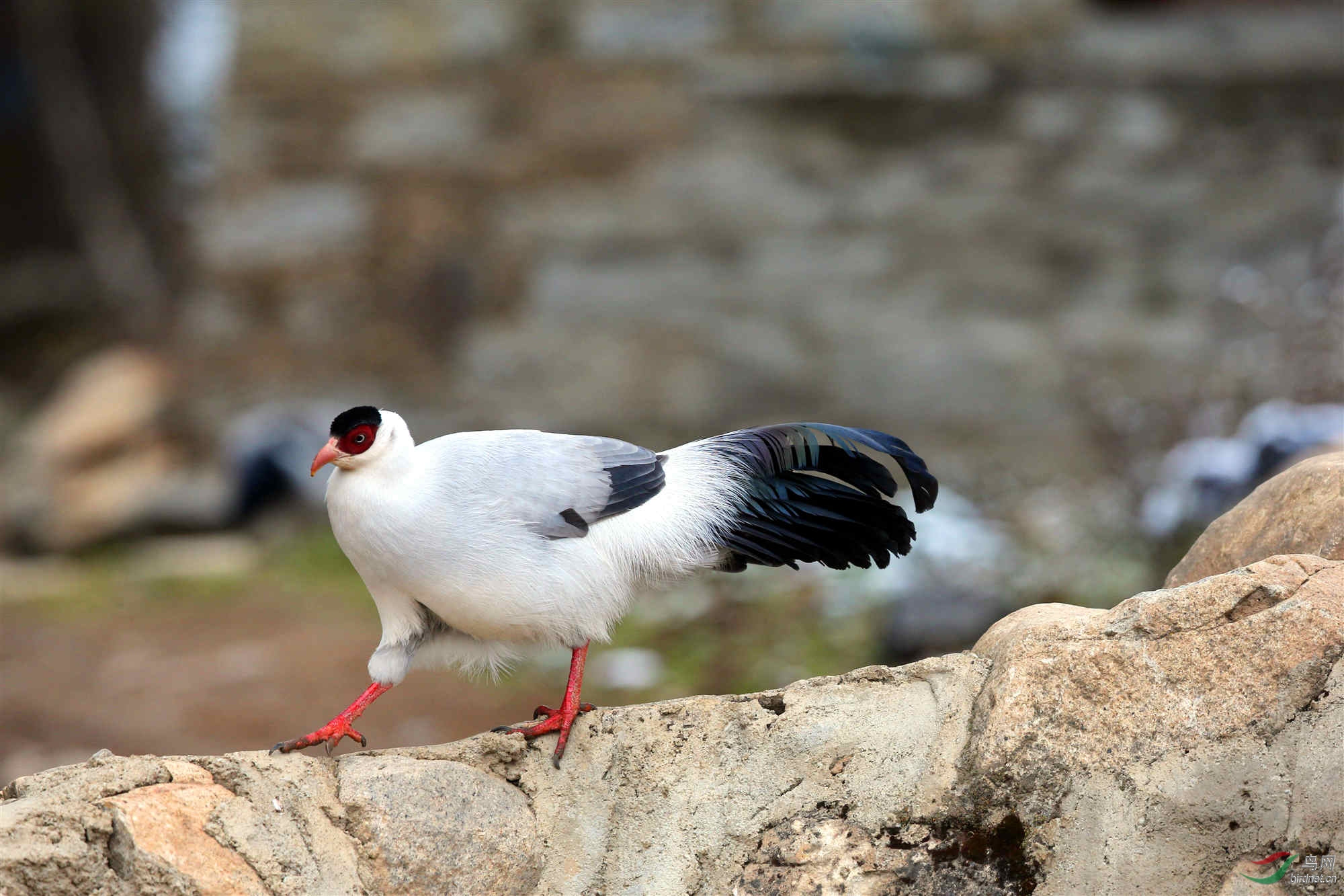 00001999_����_���� (2).jpg