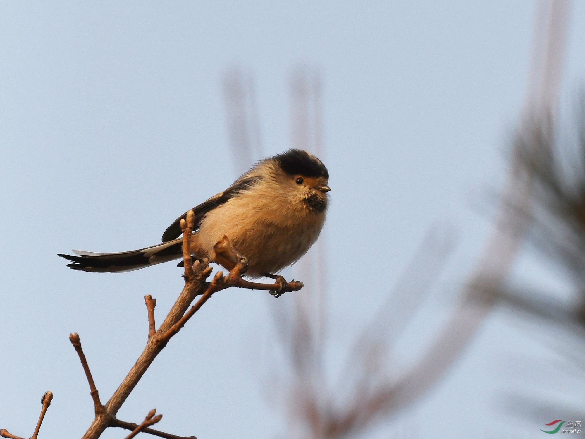 ������Ӱ 007����.jpg