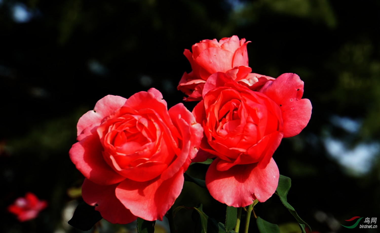 DSC08713.JPG