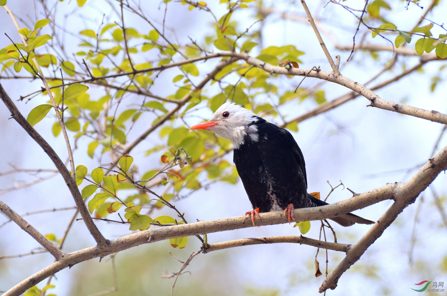 DSC_1446.JPG