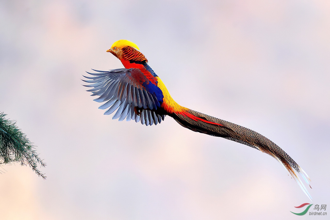 IMGL0414 (2)-denoise.jpg