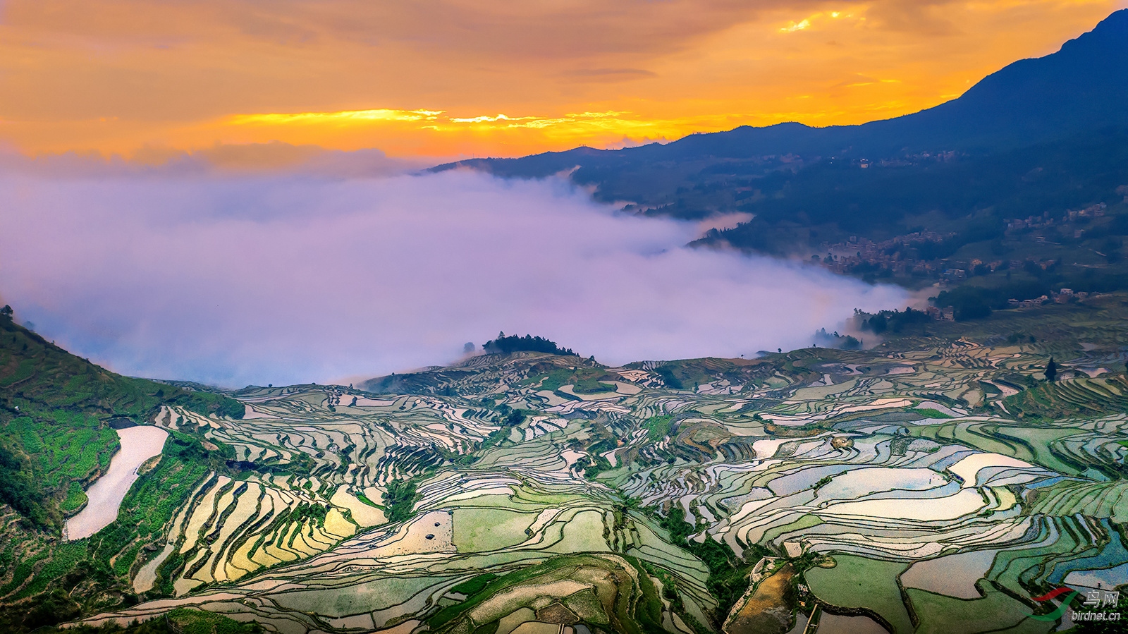 DJI_0887.jpg