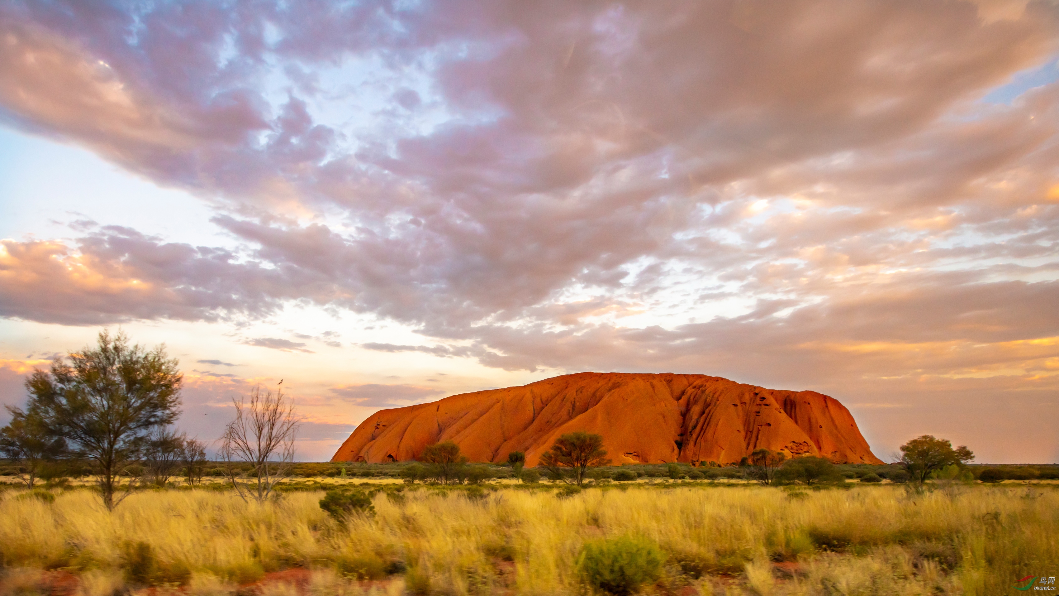 ���޷�� (1).JPG