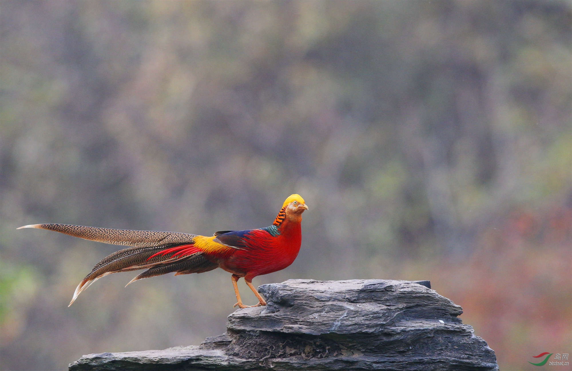 H46R0023_����_���� (2).jpg