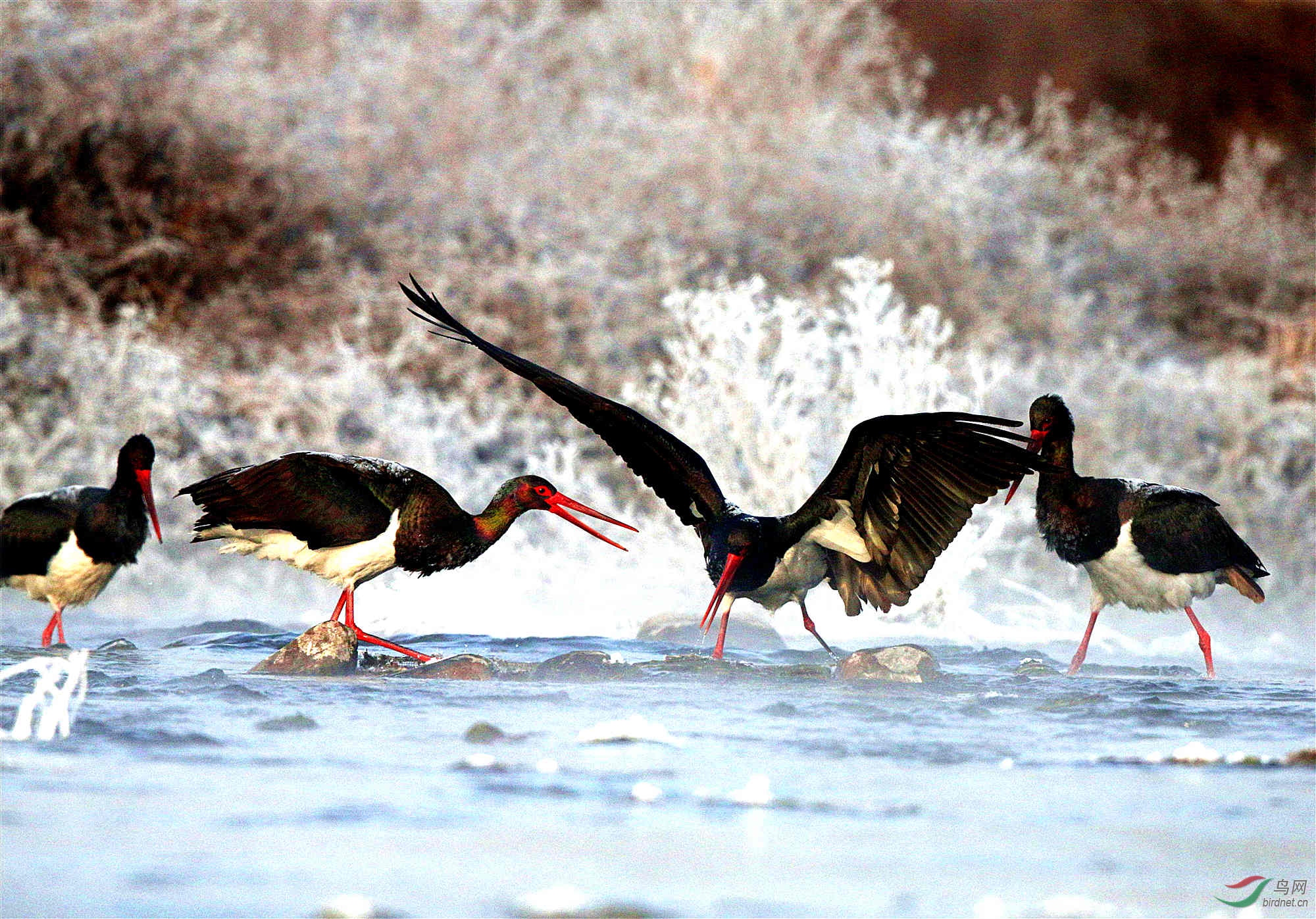 H46R0472_����_���� (2).jpg