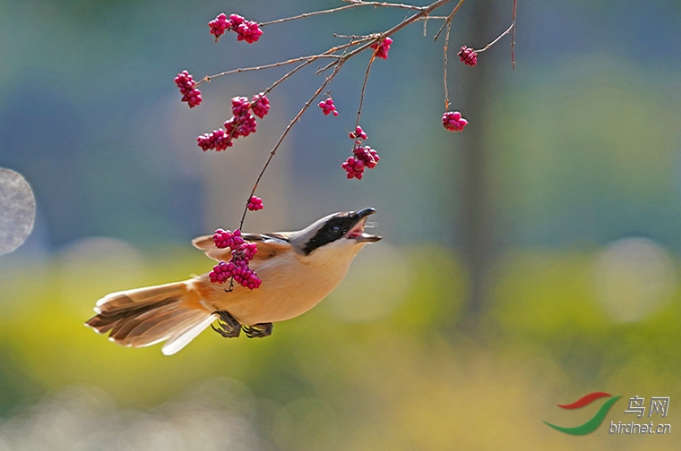 DSC02359---.jpg