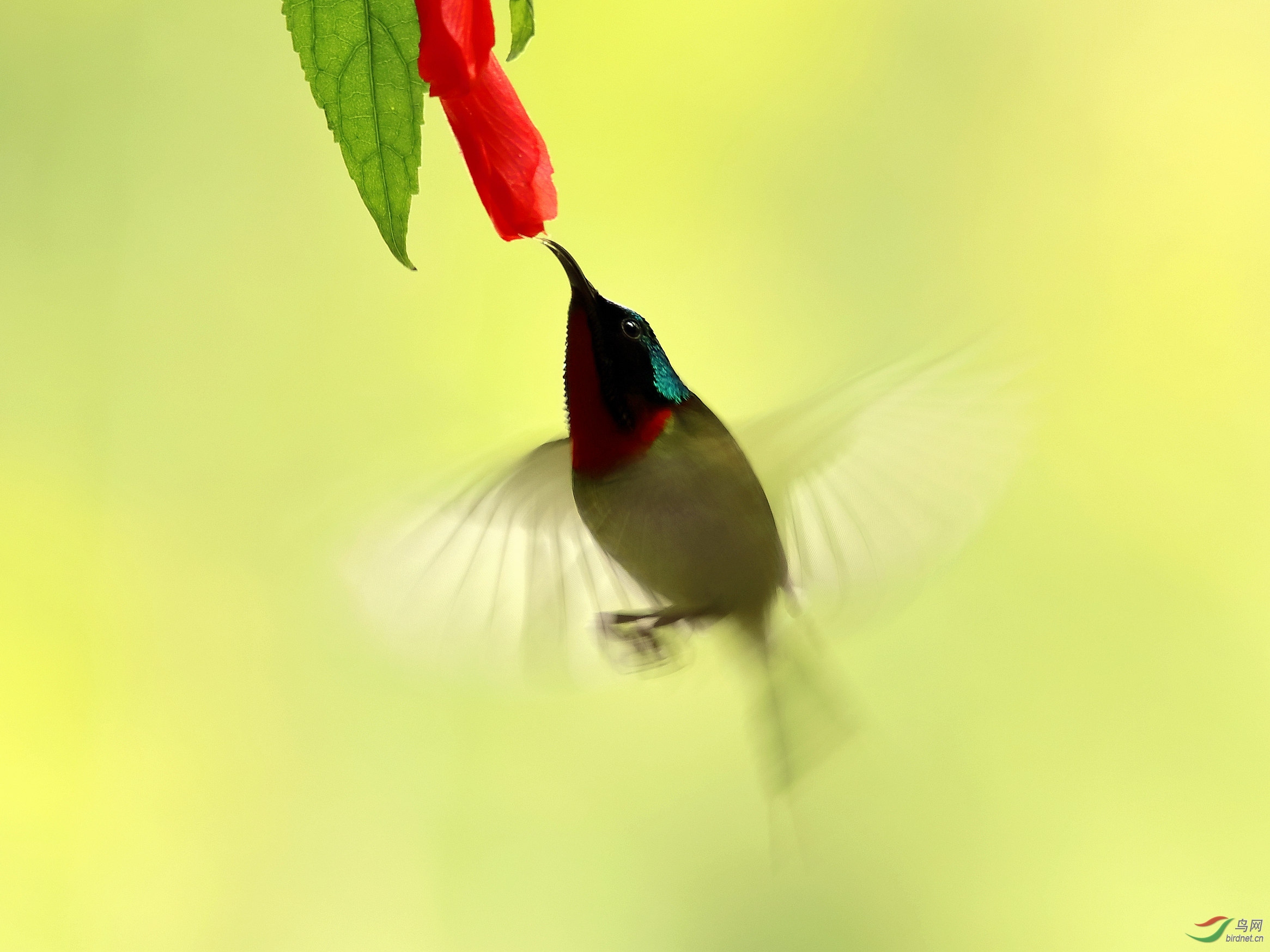 IMG_681111.jpg