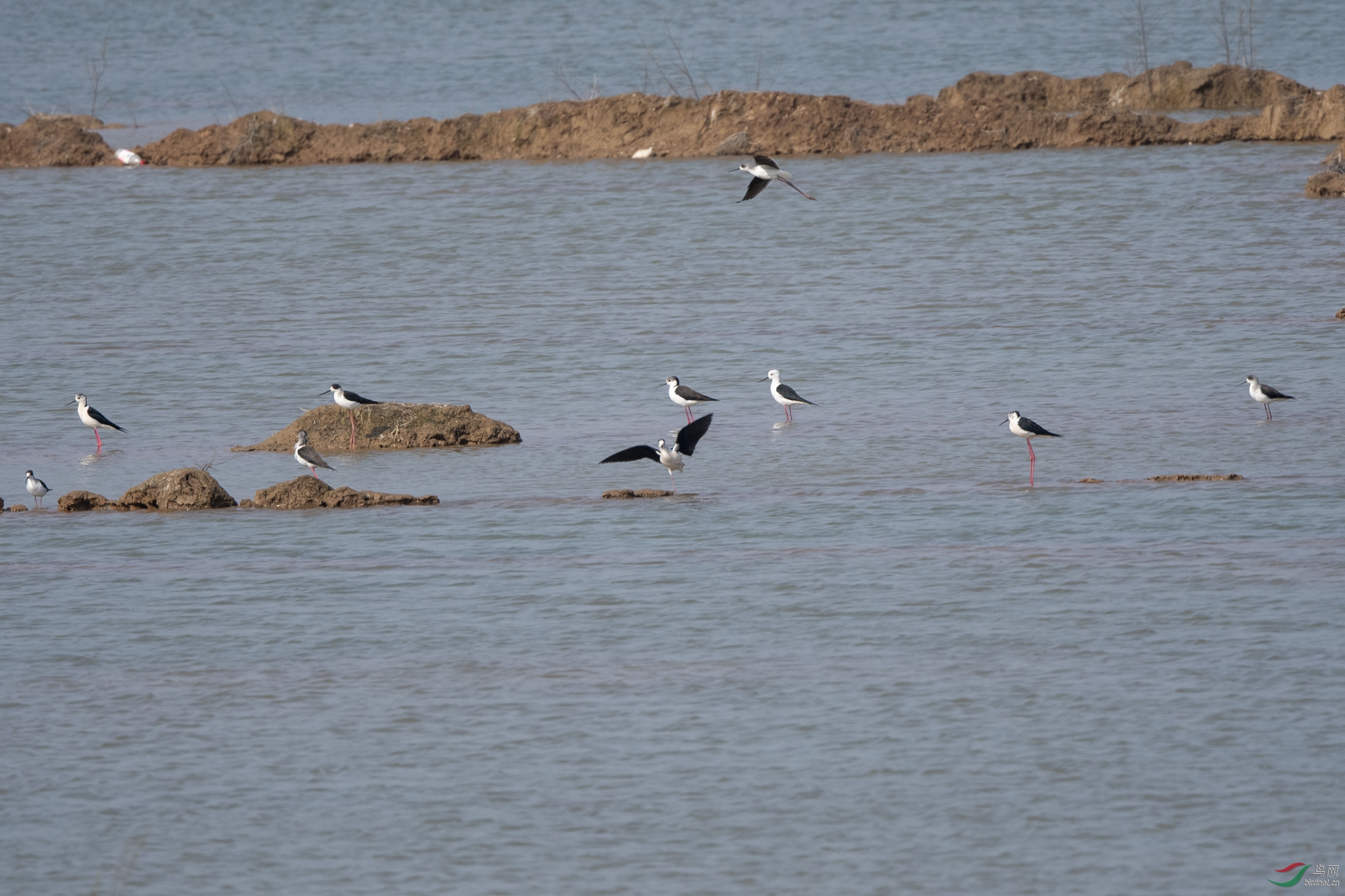 D50_7993.jpg