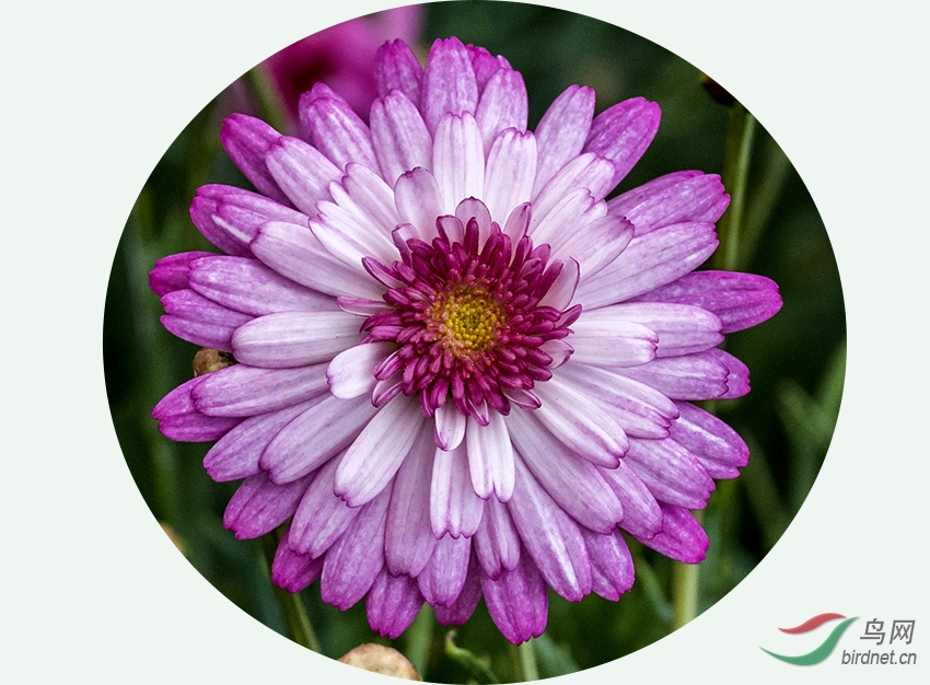 DSC_4432 ����.jpg