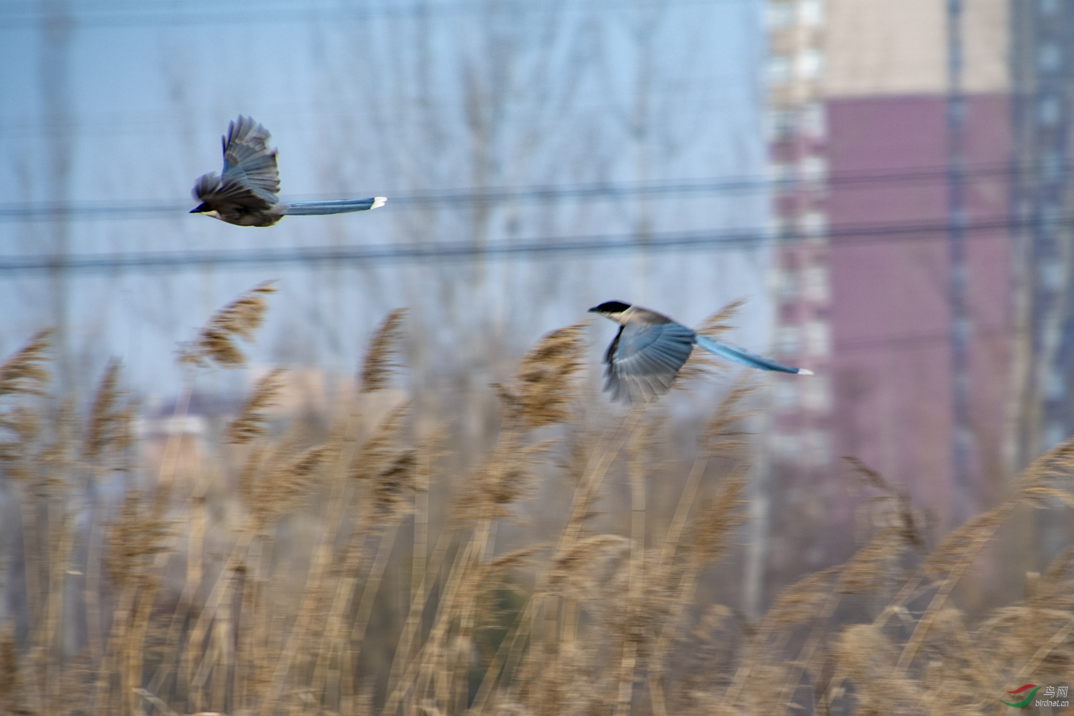 D50_7179.jpg