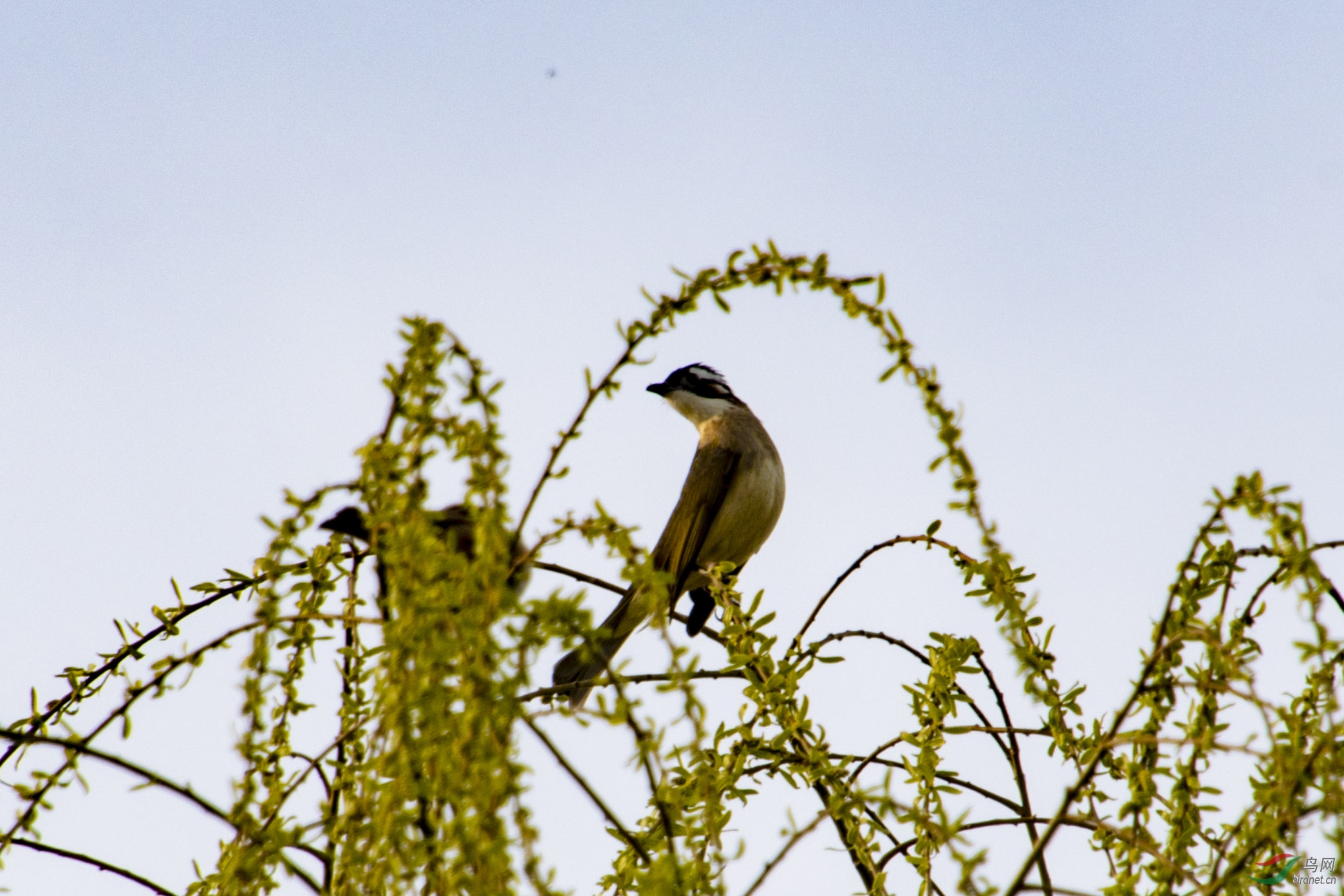 D50_7206.jpg