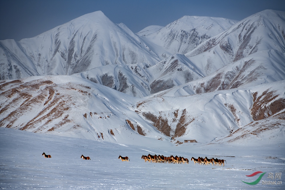 ʥɽ���� ��Ұ¿