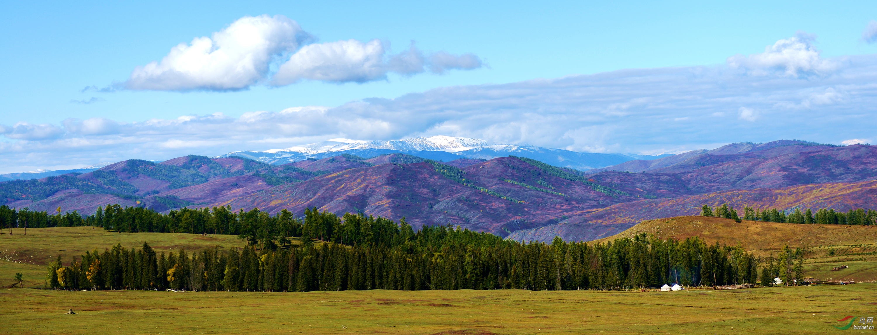 西北边陲白哈巴