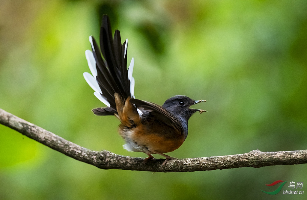 DSC_6735-0.jpg