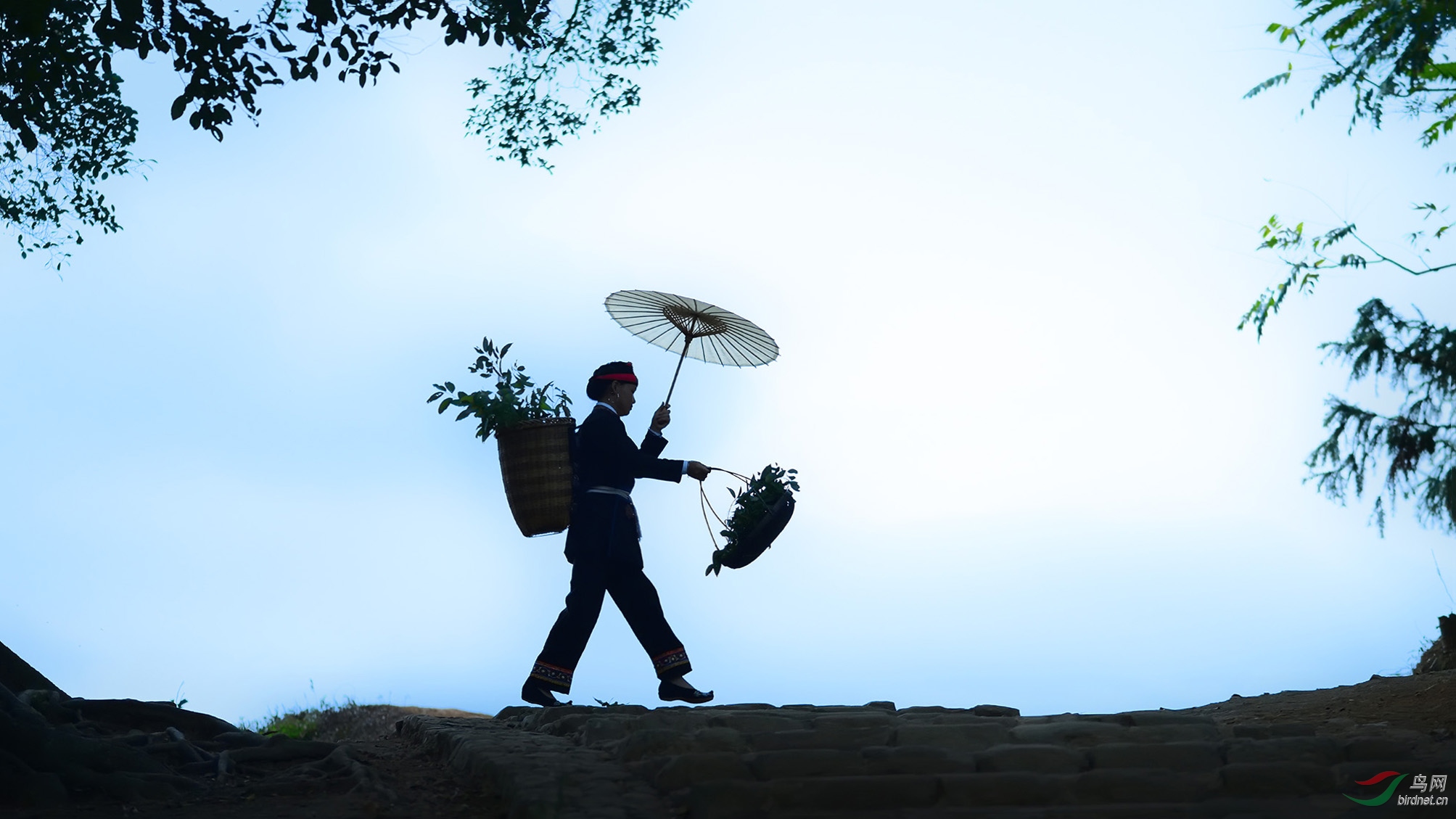 DSC_6556_������ �޸� �ϴ� �޸ĺ�.jpg