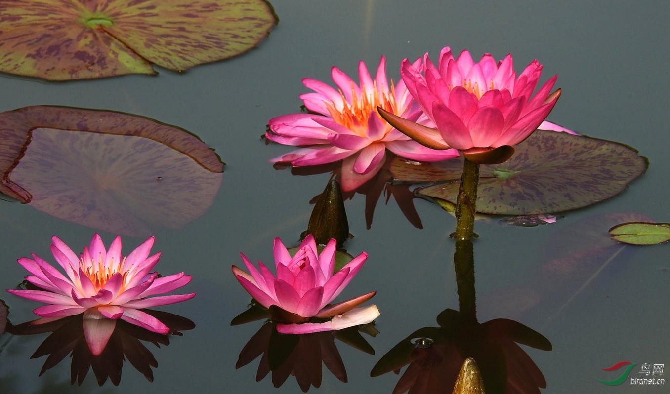 DSCN4325.JPG