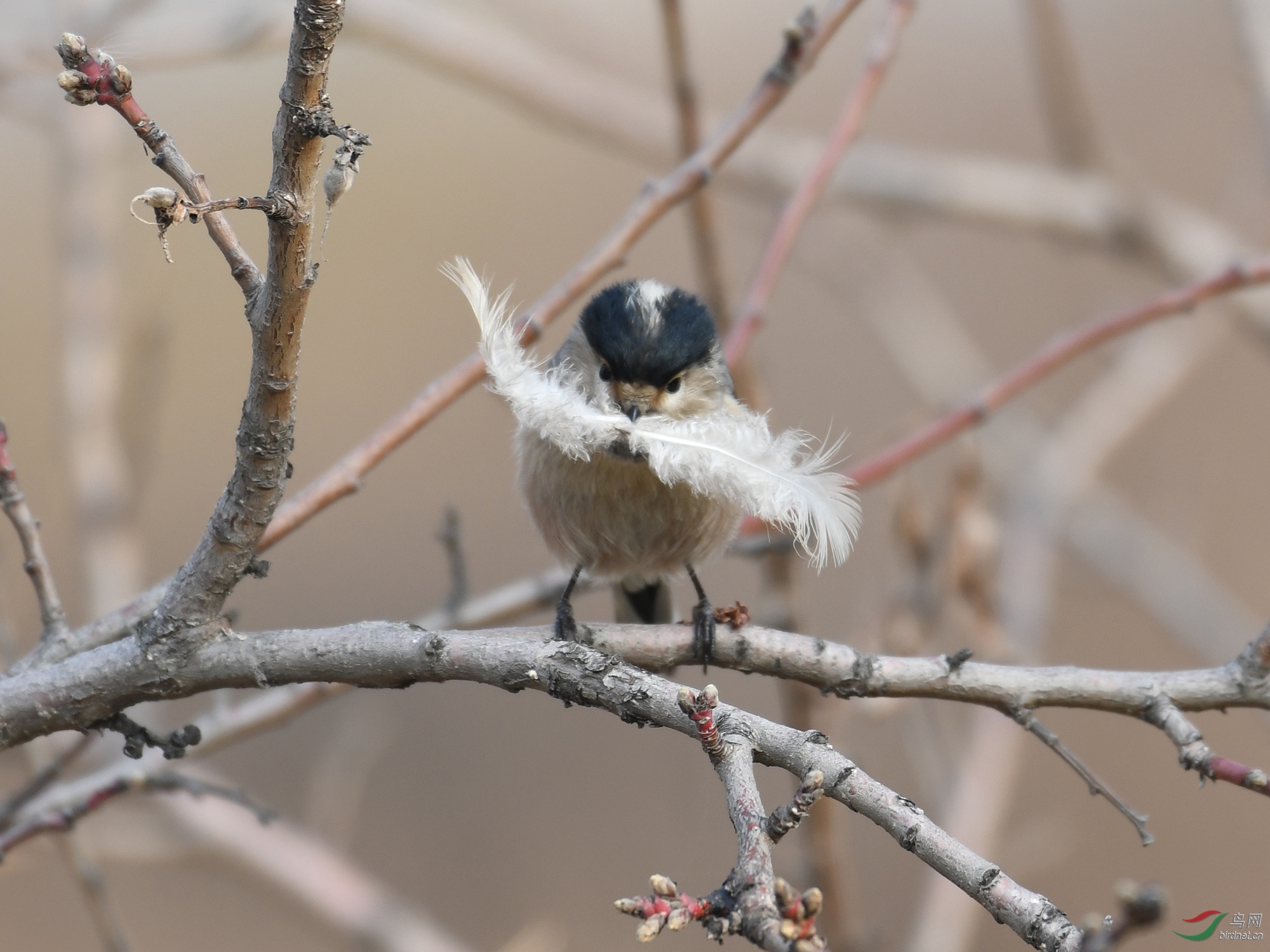 ������Ӱ 1241����.jpg