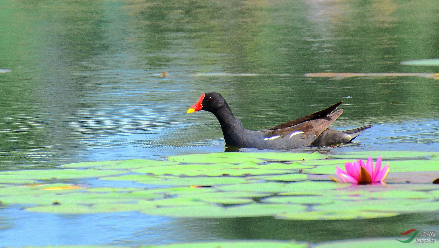 DSC_7282.JPG