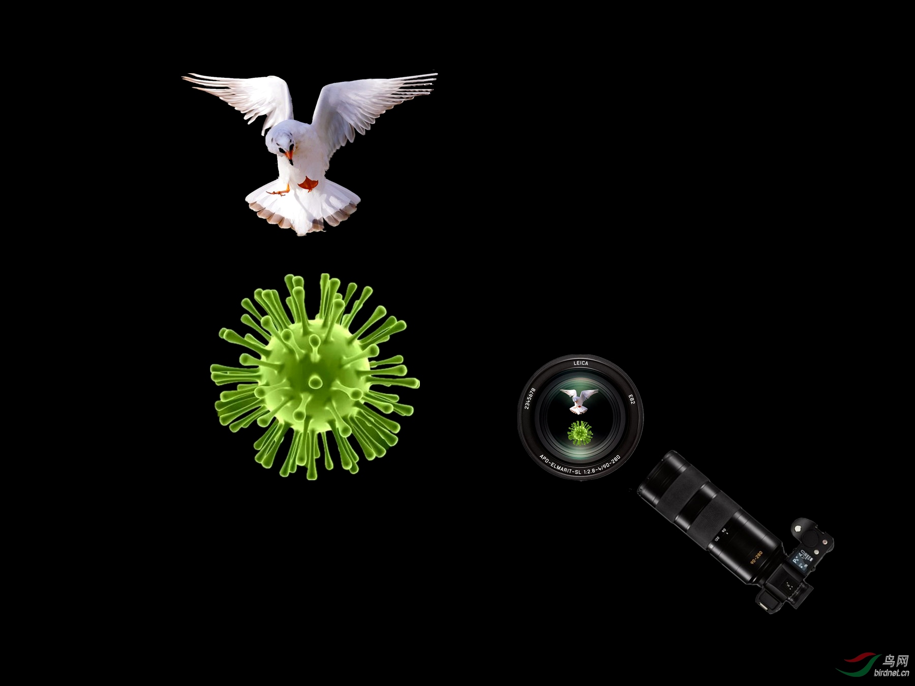 292916.�Ծ��ܽ�ͼ�еĽ���