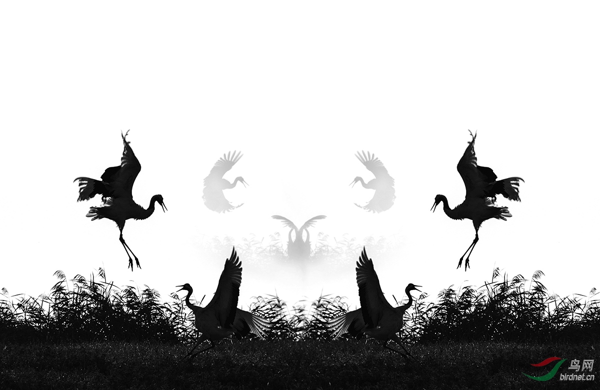 �Ը�D - ����.jpg