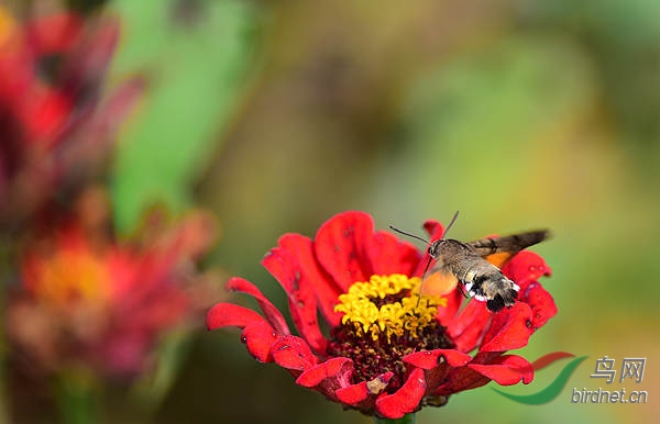 73.jpg