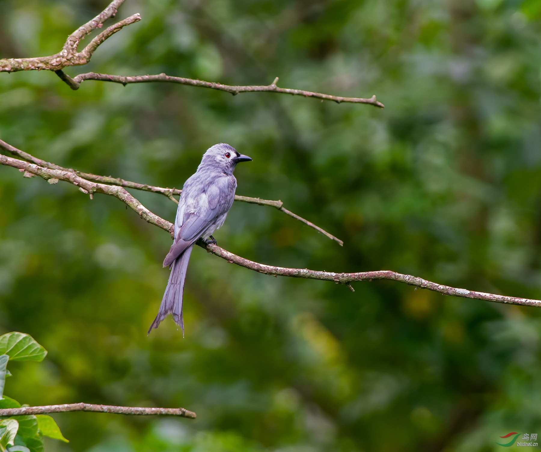 DSC_5796.jpg