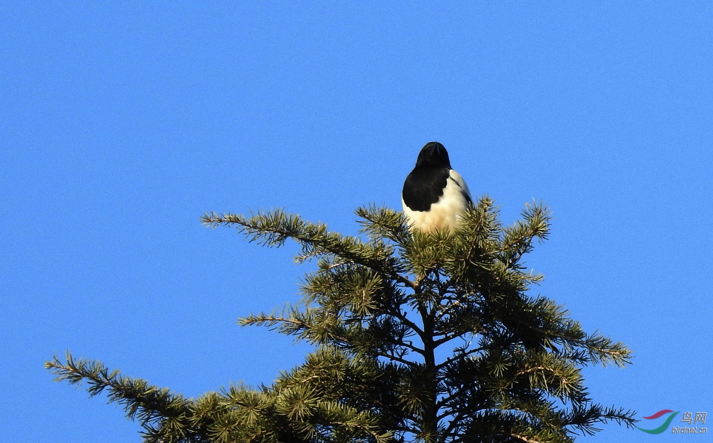 DSCN1816.JPG
