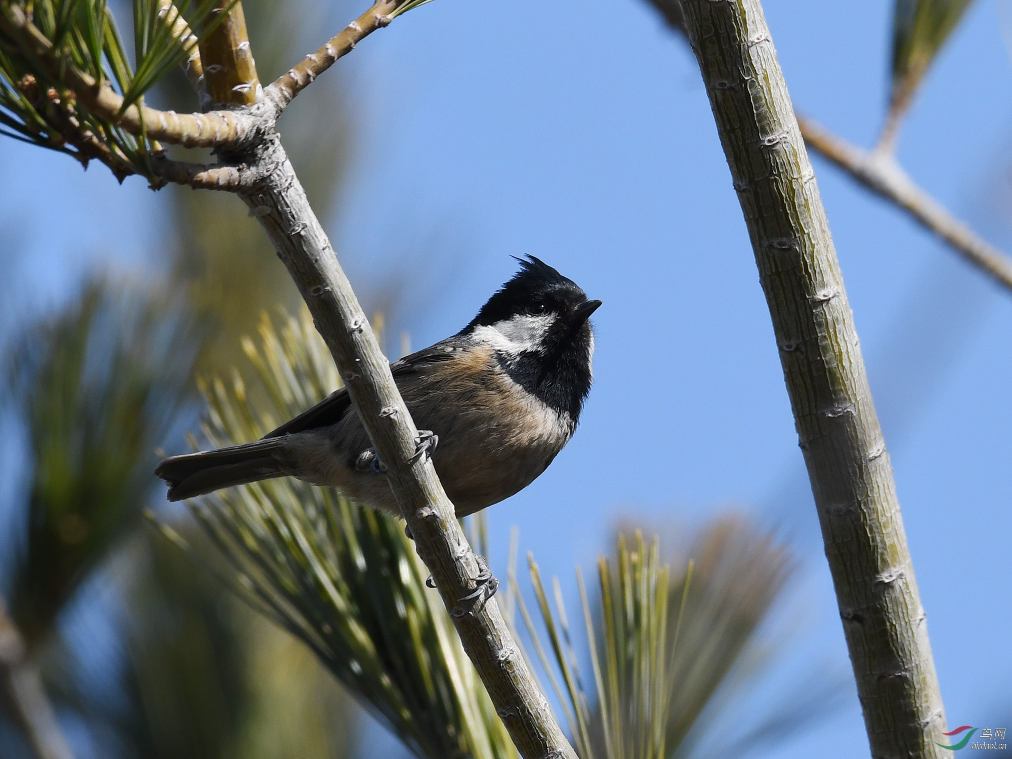 ������Ӱ 1204����.jpg