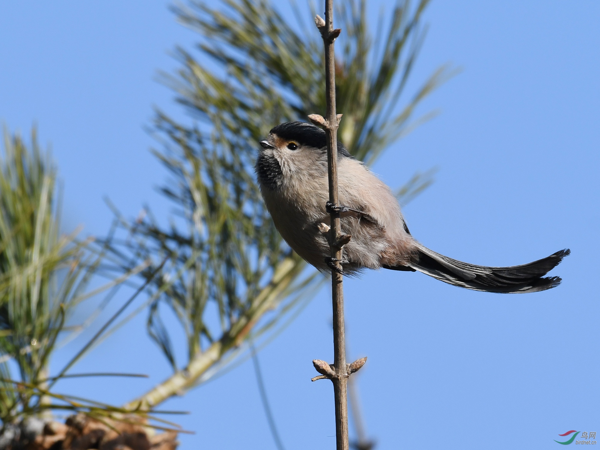 ������Ӱ 254����.jpg